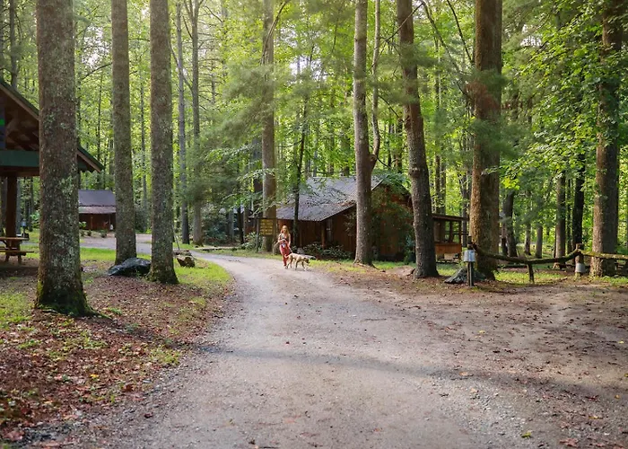 Saluda Summit Cabin At Cabin Fever
