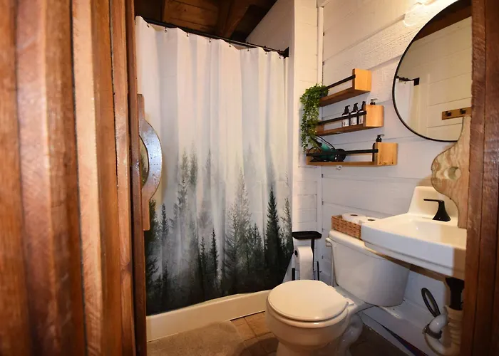 Buzzard Roost Cabin At Cabin Fever In Nc